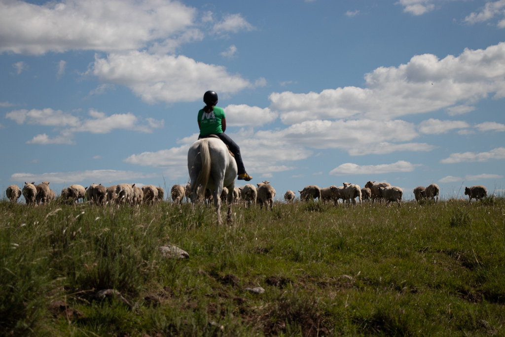 Estancia Panagea