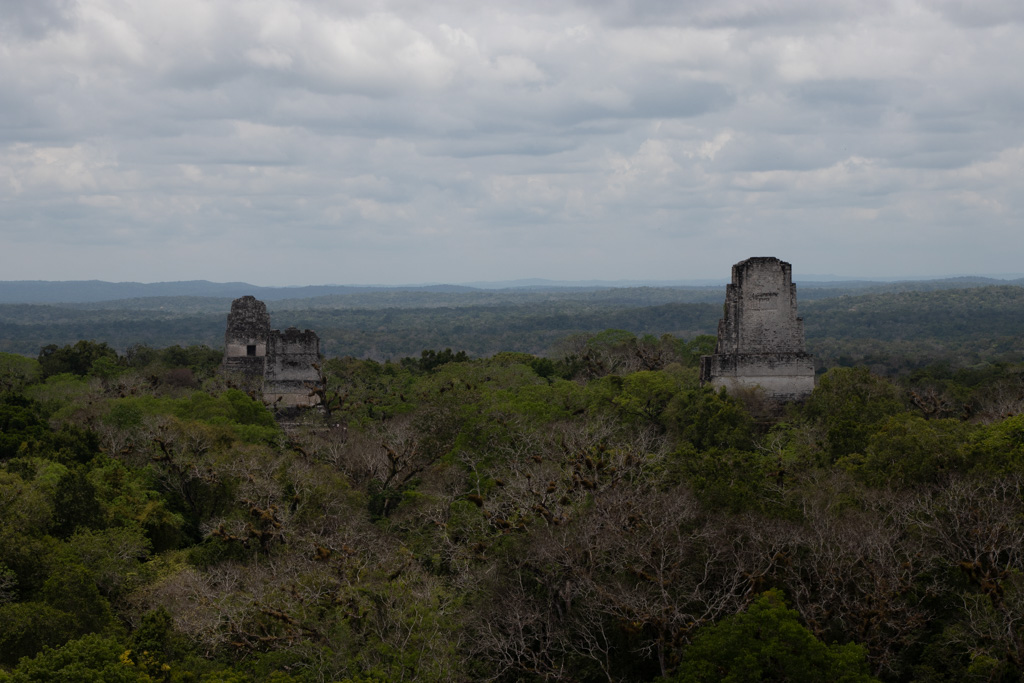 Temples in the Jungle